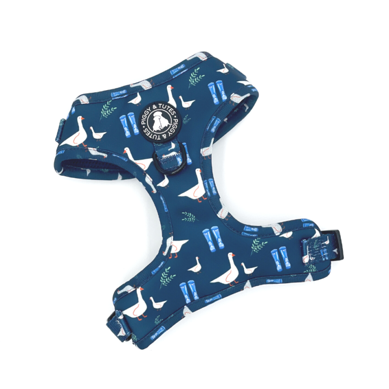 D Ring Adjustable Harness - Duck Duck Goose - Piggy & Tutes