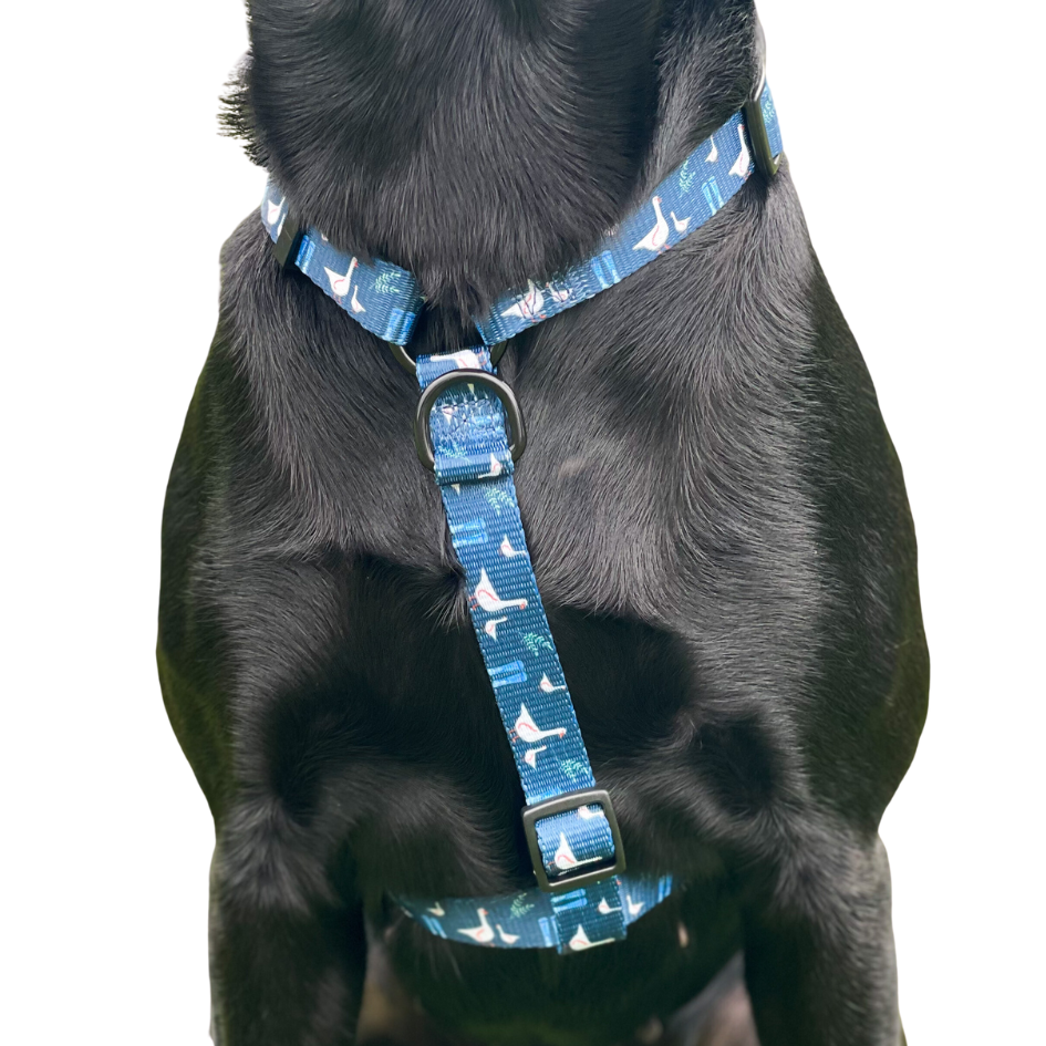 Adjustable Strap Harness - Duck Duck Goose - Piggy & Tutes