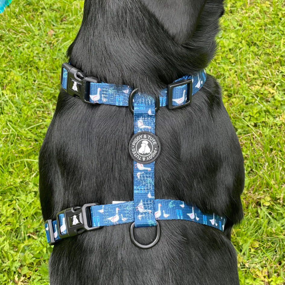 Adjustable Strap Harness - Duck Duck Goose - Piggy & Tutes
