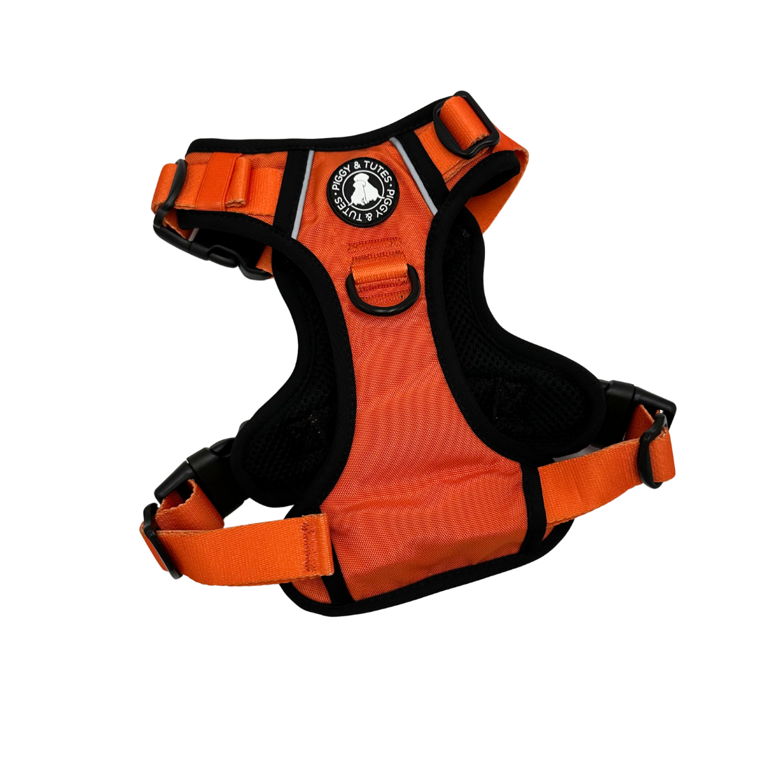 Tough Piggy Harness Clementine Piggy & Tutes