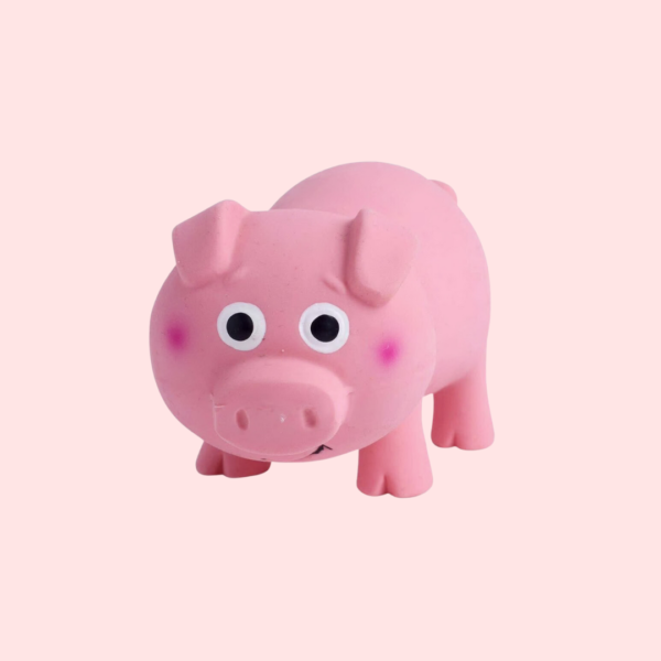 toy-pig-piggy-tutes