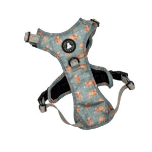 Tough Piggy Harness - Sage Gingham Moo