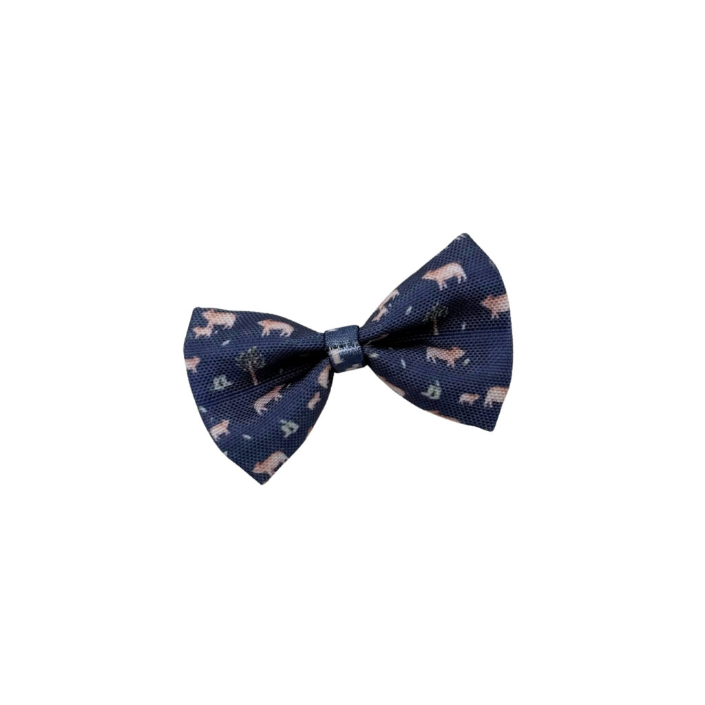 BowTie – Little Piggy