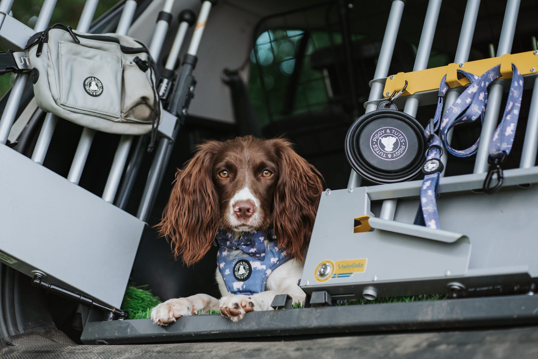 Tough Piggy Harness - Little Piggy - Image 5