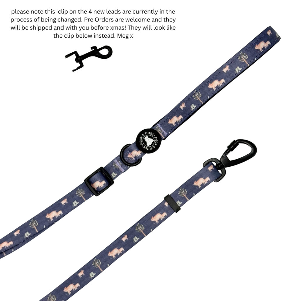 Adjustable Lead – Little Piggy