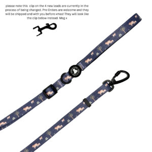 Adjustable Lead - Little Piggy