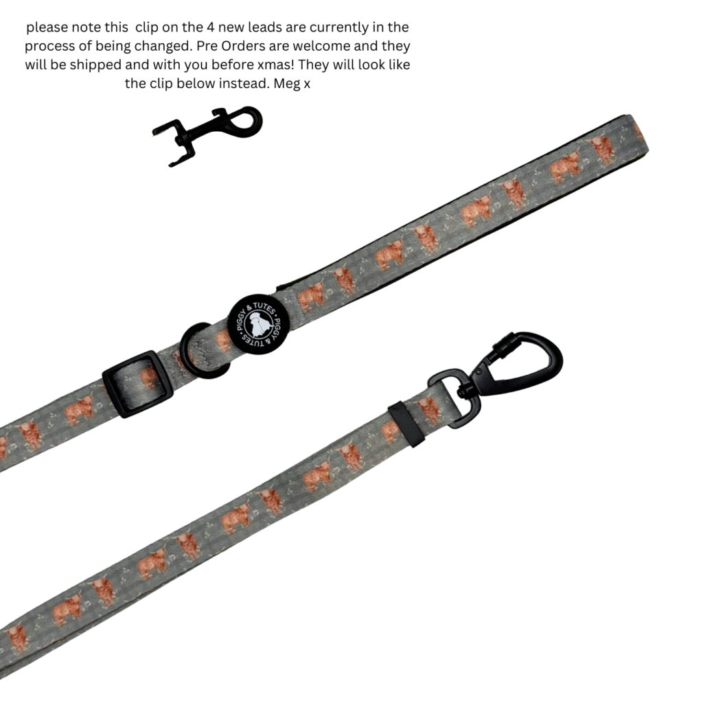 Adjustable Lead – Sage Gingham Moo