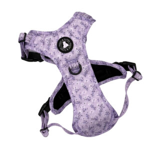 Tough Piggy Harness - Lilac Fields